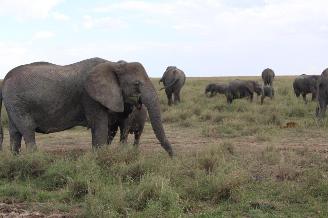 Mapito Tented Camp Serengeti Exterior photo